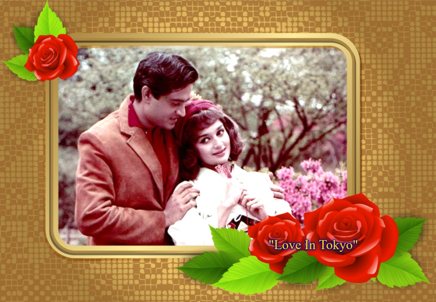 You are currently viewing “Self Confident & Cuteness Personified Actress- Asha Parekh”